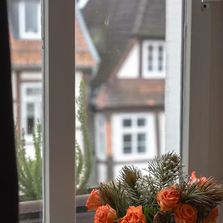 Cafe Cup Apartmán *