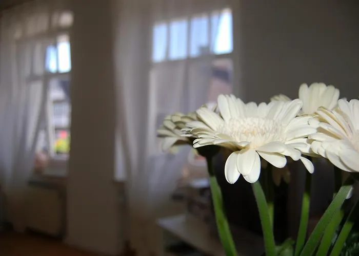 Cafe Cup Detmold